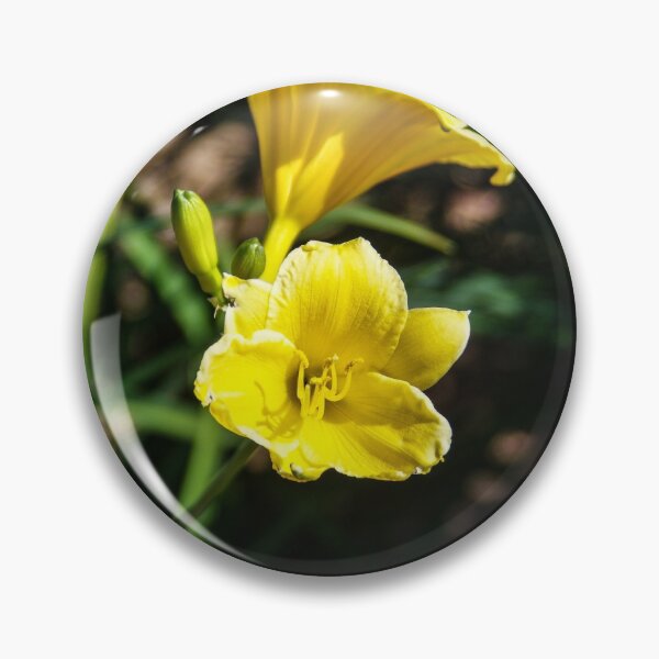 Item preview, Early Autumn Blooms designed and sold by SRosuphotos.