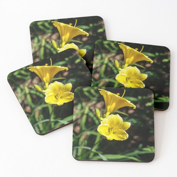 Item preview, Early Autumn Blooms designed and sold by SRosuphotos.