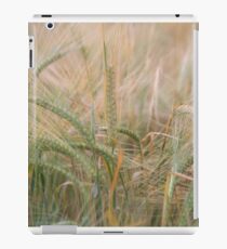 Grain iPad Case/Skin
