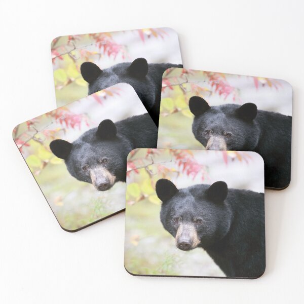 Item preview, Autumn Black Bear designed and sold by mlorenz.