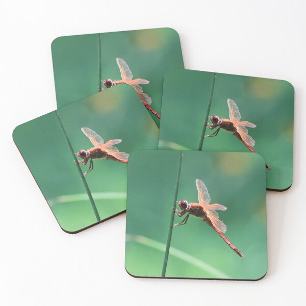 Item preview, Needham's Skimmer designed and sold by ArmandBayouNC.