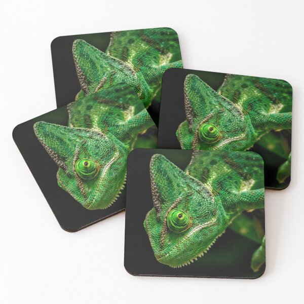 Item preview, Chameleon lizard photograph for the reptile lover. designed and sold by Denjones-Gifts.