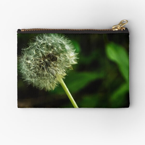 wish Zipper Pouch