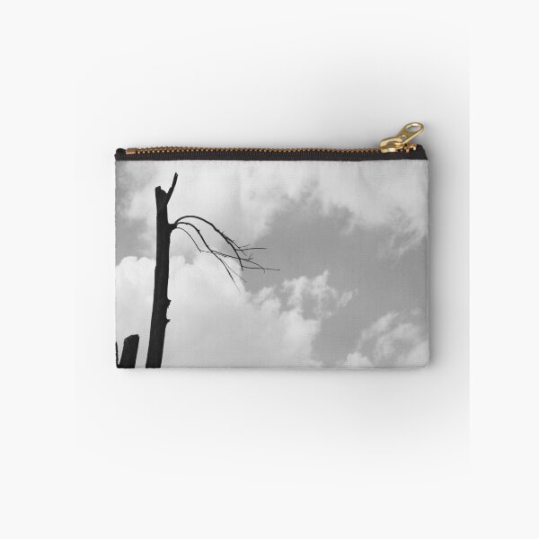 Item preview.