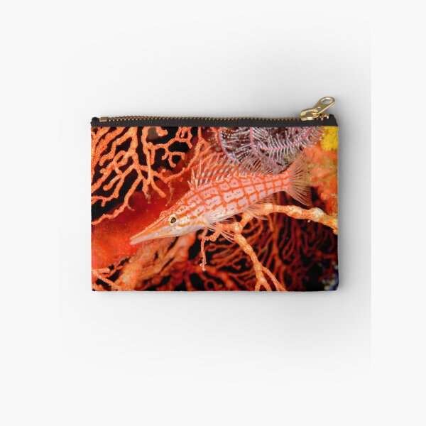 Item preview, Longnose Hawkfish - Oxycirrhites typus designed and sold by Andrew Trevor-Jones.