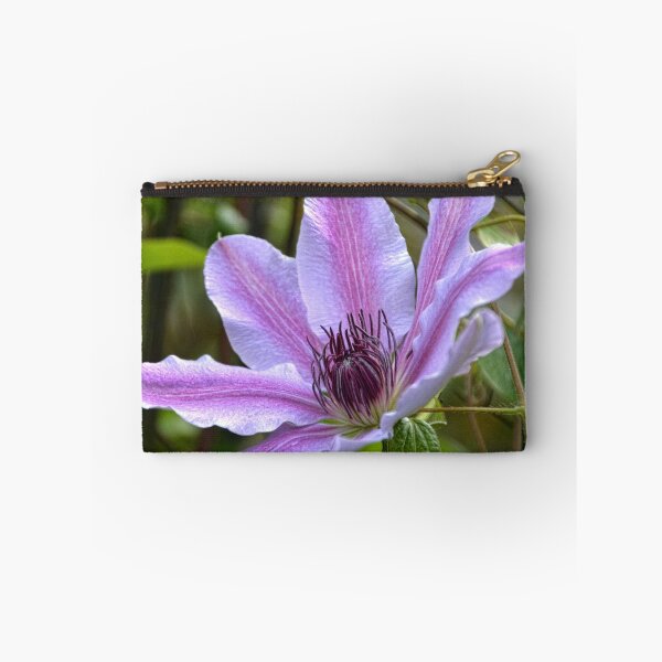 Artikelvorschau, Pretty Striped Clematis entworfen und verkauft von lynn carter.