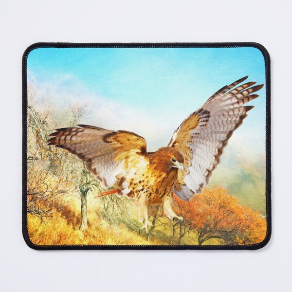 Item preview, Red-tail Hawk in Autumn designed and sold by FineArtography.