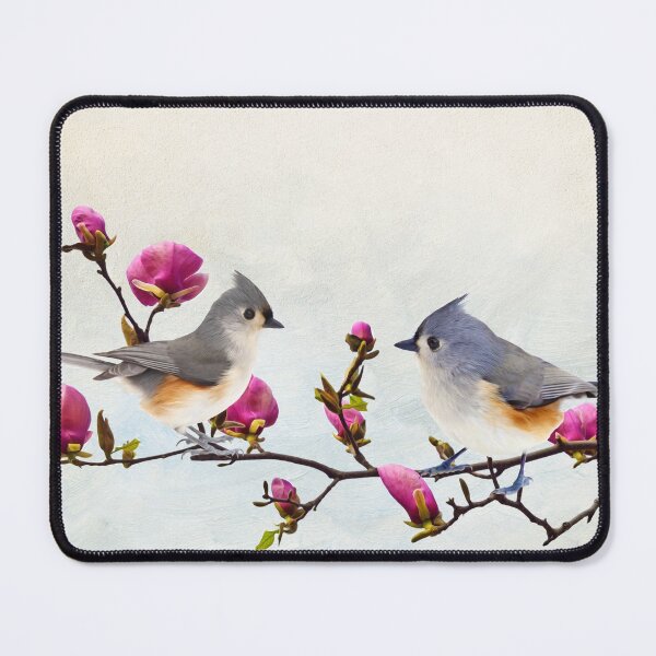 Item preview, Tufted Titmice on Magnolia Branch designed and sold by FineArtography.