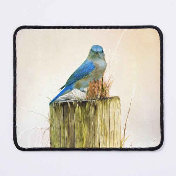 Item preview, Female Eastern Bluebird designed and sold by FineArtography.