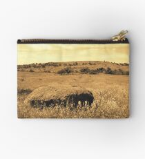 Southward View 3 Studio Pouch