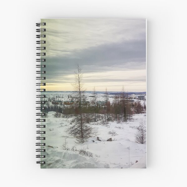 Item preview, City of Kuujjuaq in winter at dusk with a cloudy sky designed and sold by celinebisson.