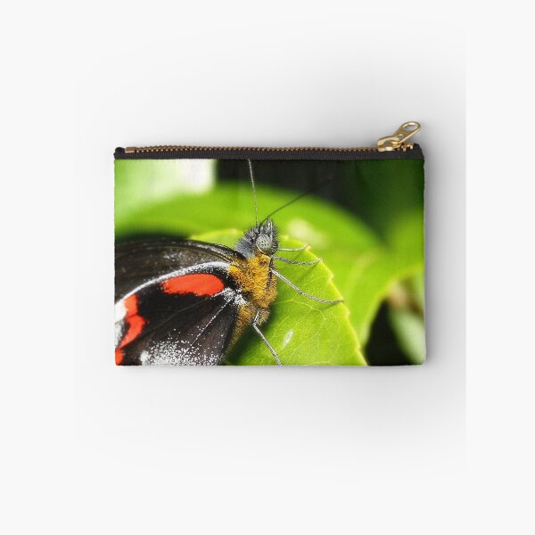 Artikelvorschau, Butterfly 001 entworfen und verkauft von kevin Chippindall.