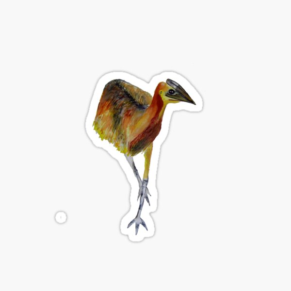 Item preview, baby cassowary designed and sold by hollyobaby.