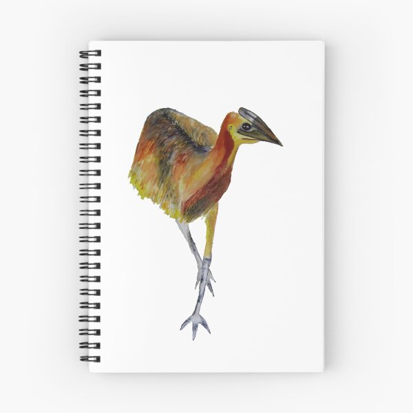 Item preview, baby cassowary designed and sold by hollyobaby.