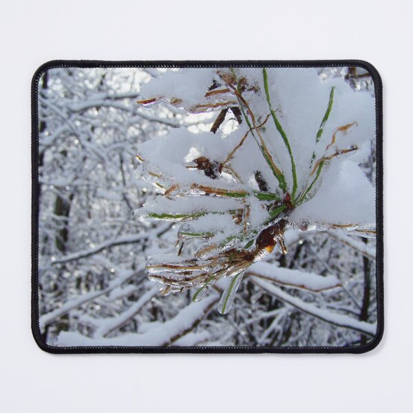 Item preview, Ice covering a Pine tree branch close-up-Stock photos designed and sold by celinebisson.