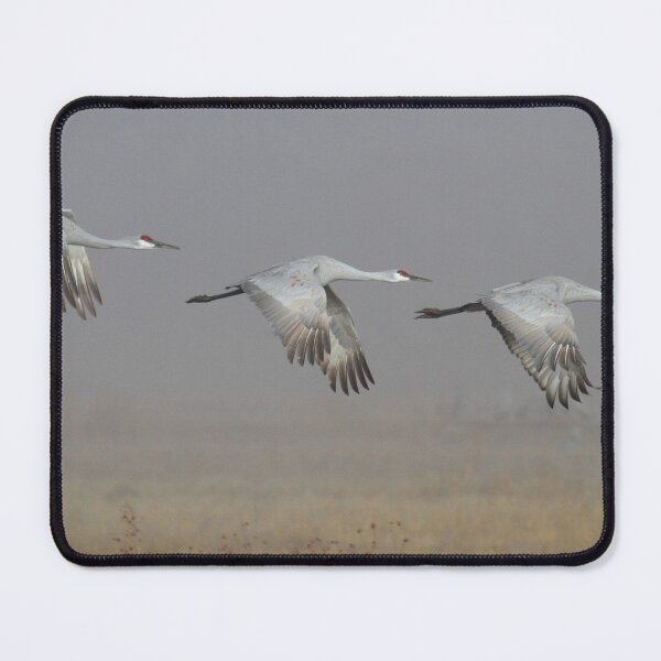 Item preview, Trio of Cranes designed and sold by Ruth Jolly.
