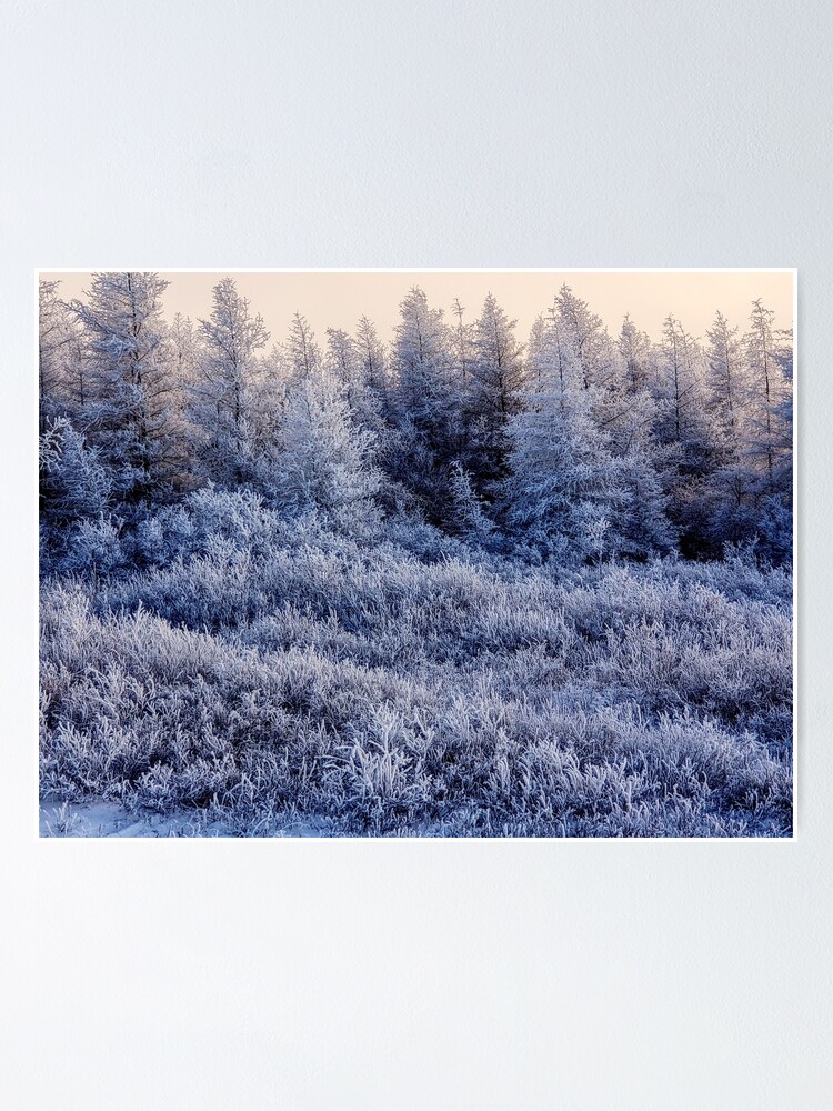 "Frozen landscape in KuujjuaqNunavik" Poster for Sale by celinebisson