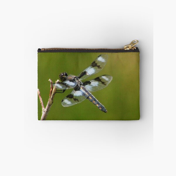Item preview, Dragonfly designed and sold by Arla Ruggles.