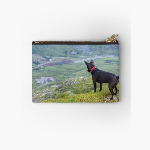 Item preview, Dog On High designed and sold by Jamie  Green.