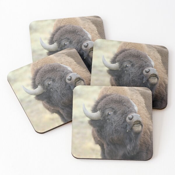 Item preview, American Plains Bison Bull or Buffalo Sniffing Yellowstone NP designed and sold by Steven Holt.