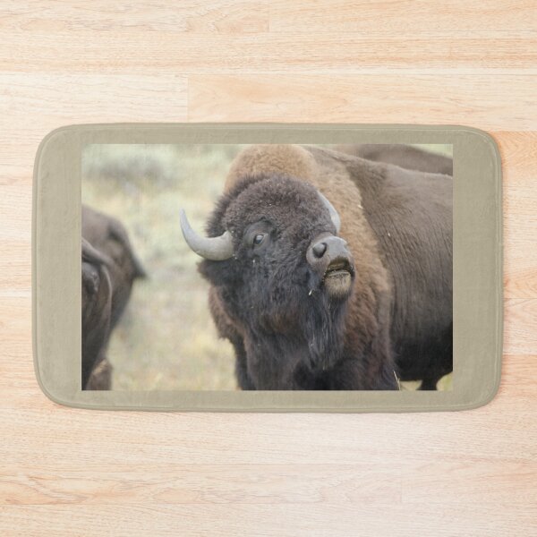 Item preview, American Plains Bison Bull or Buffalo Sniffing Yellowstone NP designed and sold by Steven Holt.