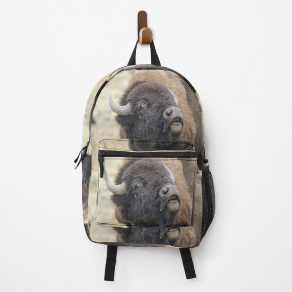 Item preview, American Plains Bison Bull or Buffalo Sniffing Yellowstone NP designed and sold by Steven Holt.