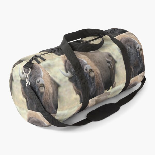 Item preview, American Plains Bison Bull or Buffalo Sniffing Yellowstone NP designed and sold by Steven Holt.