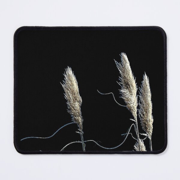Item preview, New Zealand Elegant Toetoe Grass Feathery Plumes designed and sold by CreateShape.