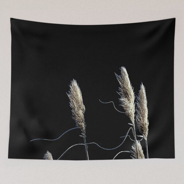 Item preview, New Zealand Elegant Toetoe Grass Feathery Plumes designed and sold by CreateShape.