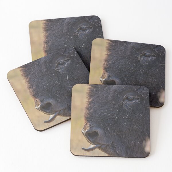Item preview, American Plains Buffalo Bull Licking Nose National Bison Range designed and sold by Steven Holt.