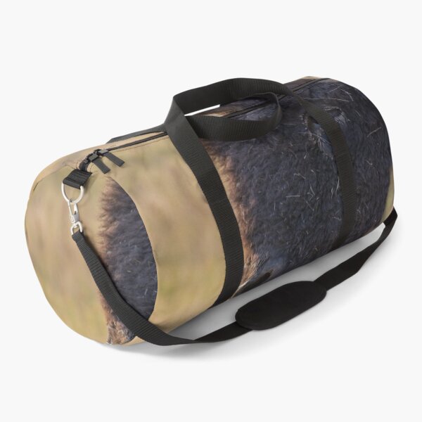 Item preview, American Plains Buffalo Bull Licking Nose National Bison Range designed and sold by Steven Holt.