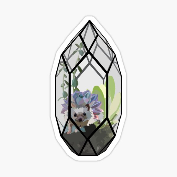 Hedgehog Terrarium Sticker