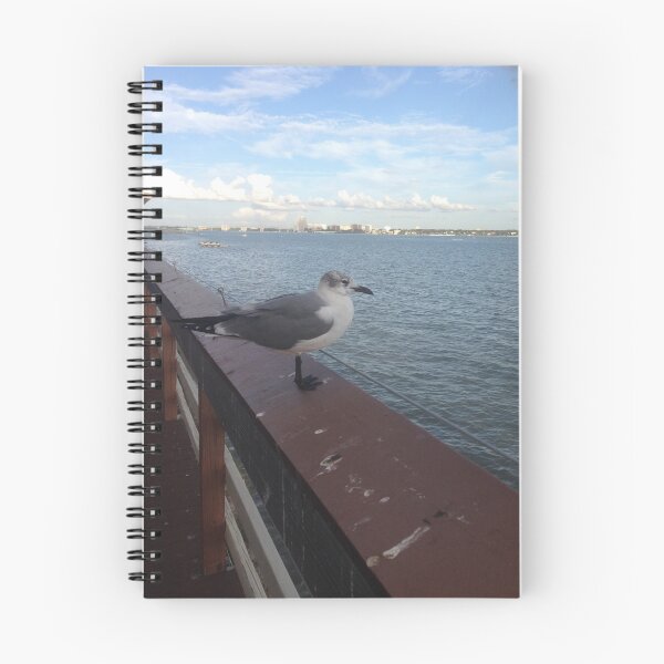 Item preview, A seagull surveys the water designed and sold by jenmcgillan.