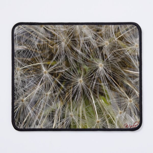 Item preview, Look Closer ... (2) designed and sold by Wolf Sverak Photography.