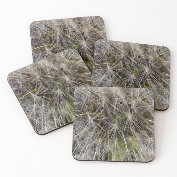Item preview, Look Closer ... (2) designed and sold by Wolf Sverak Photography.