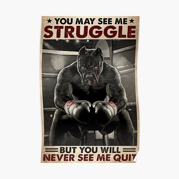 Pitbull boxing you may see me struggle but you will never see me quit Poster