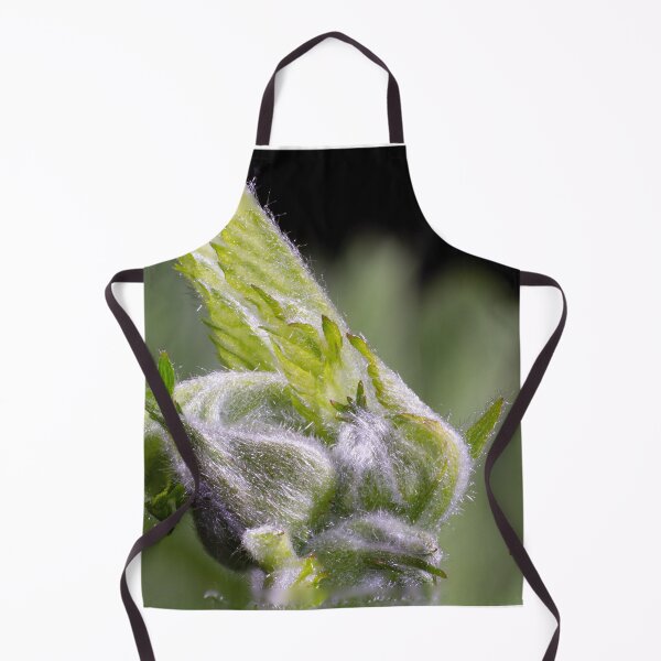 Item preview, Look Closer ... (3) designed and sold by Wolf Sverak Photography.