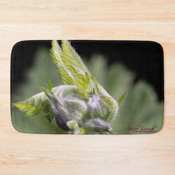 Item preview, Look Closer ... (3) designed and sold by Wolf Sverak Photography.