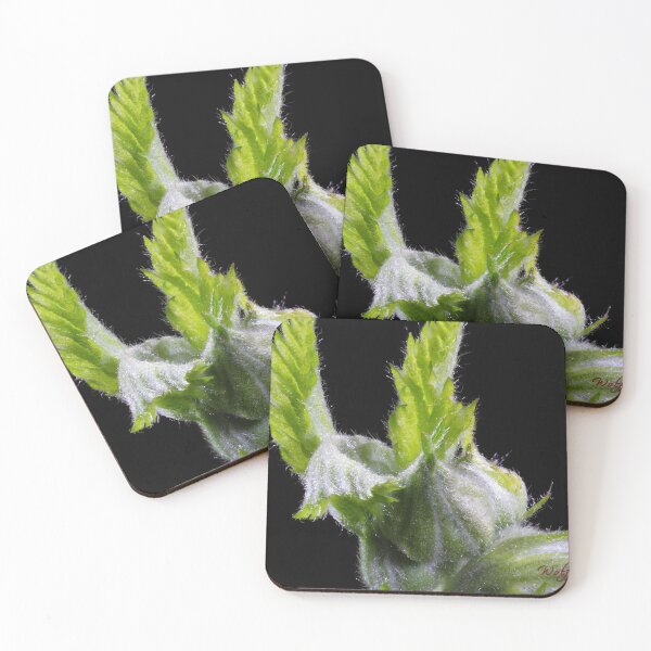 Item preview, Look Closer ... (4) designed and sold by Wolf Sverak Photography.