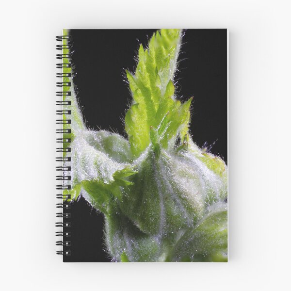 Item preview, Look Closer ... (4) designed and sold by Wolf Sverak Photography.