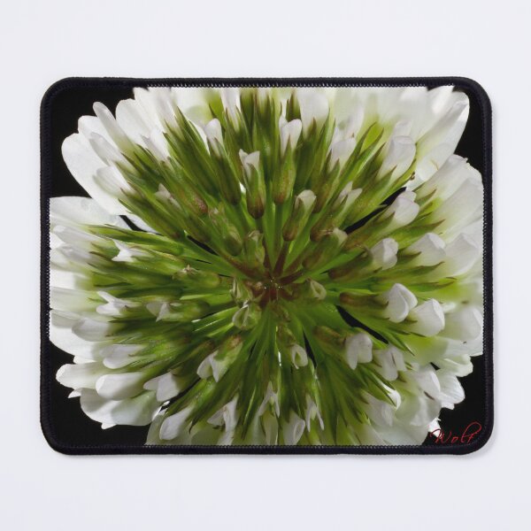 Item preview, Look Closer ... (5) designed and sold by Wolf Sverak Photography.