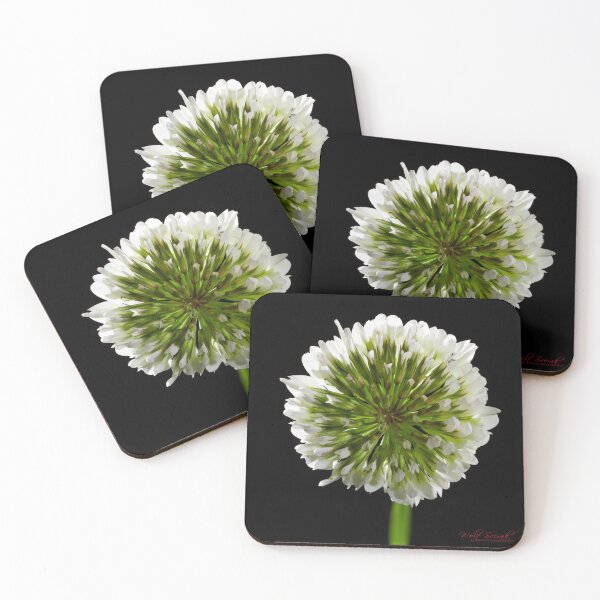 Item preview, Look Closer ... (6) designed and sold by Wolf Sverak Photography.