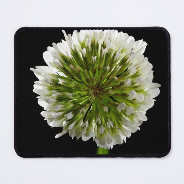 Item preview, Look Closer ... (6) designed and sold by Wolf Sverak Photography.