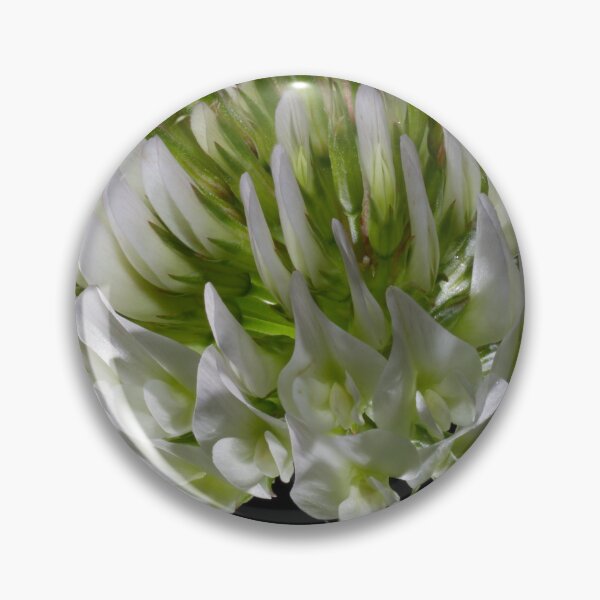 Item preview, Look Closer ... (7) designed and sold by Wolf Sverak Photography.