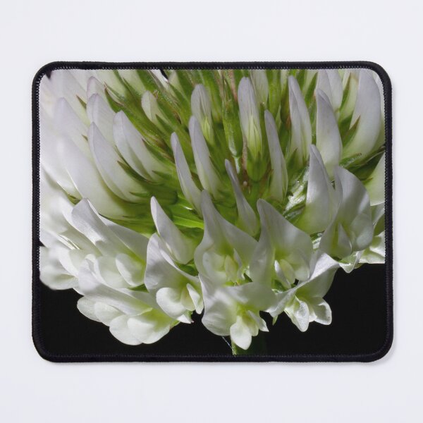 Item preview, Look Closer ... (7) designed and sold by Wolf Sverak Photography.