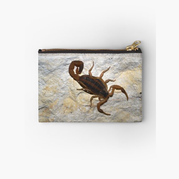Item preview, Striped Bark Scorpion designed and sold by Kate Farkas.