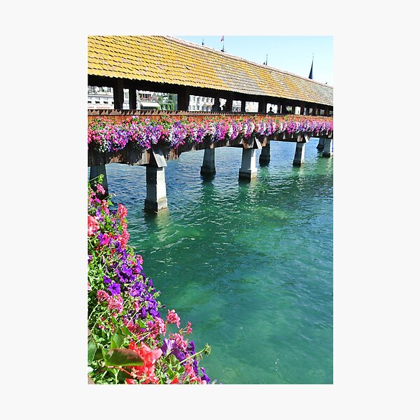 Item preview, Lucerne photography designed and sold by Leroy Design.