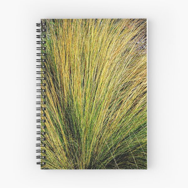 Item preview, Tall Grass During Autumn in New Mexico designed and sold by William E Lopez.