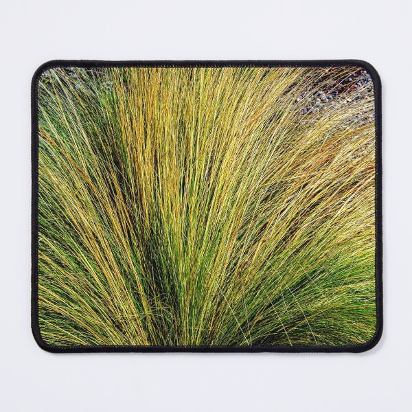 Item preview, Tall Grass During Autumn in New Mexico designed and sold by William E Lopez.
