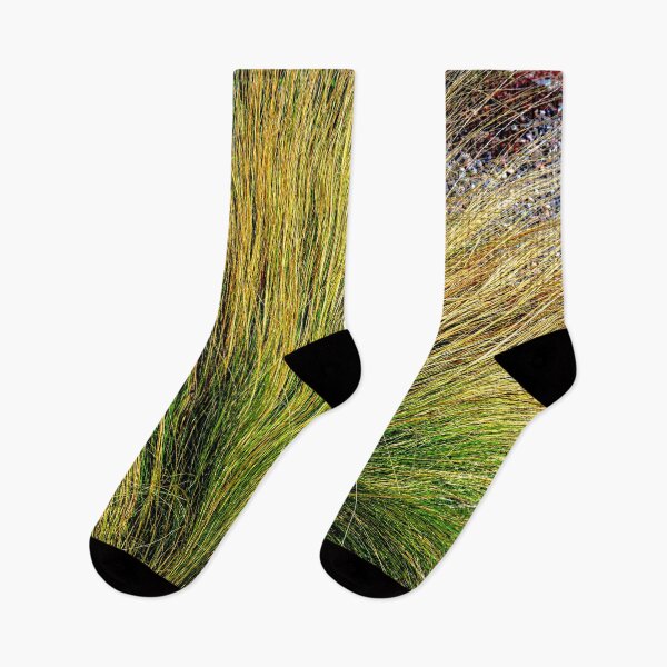Item preview, Tall Grass During Autumn in New Mexico designed and sold by William E Lopez.
